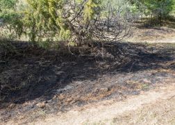 Brand Pennickental Jena 00013